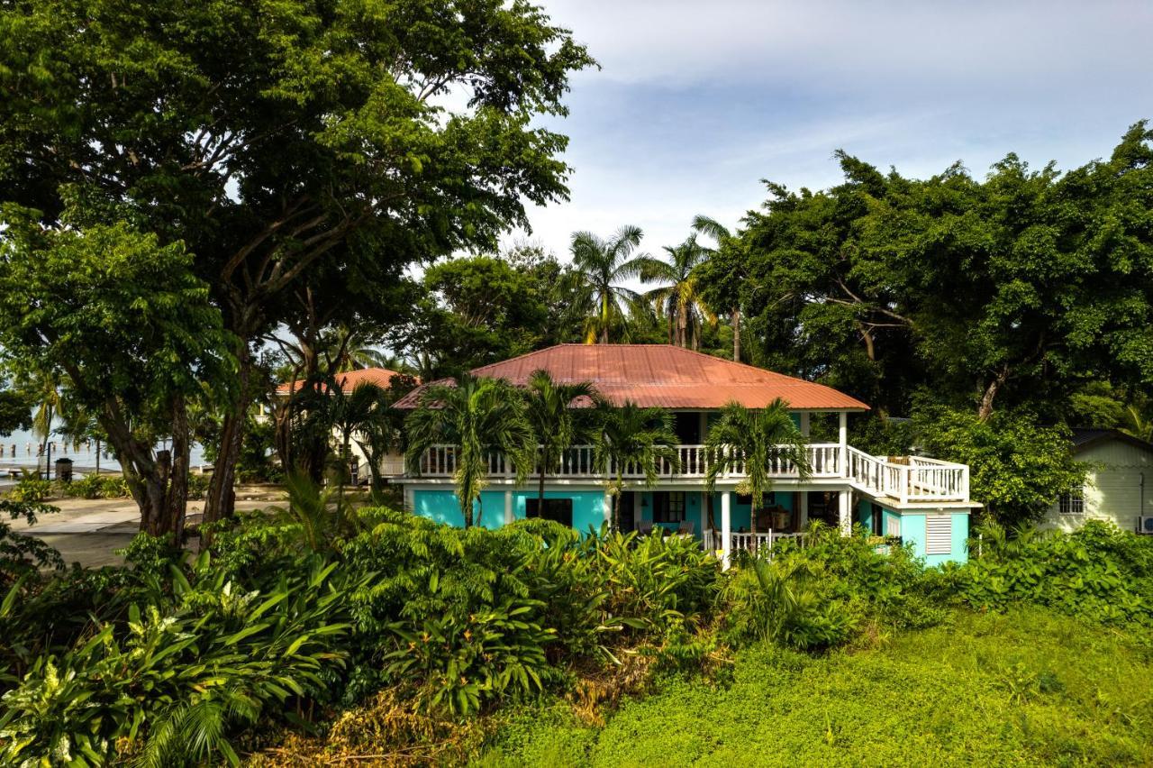 The Sea Glass Inn Placencia Exterior foto